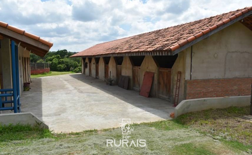 Haras formado à venda em Porto Feliz-SP.