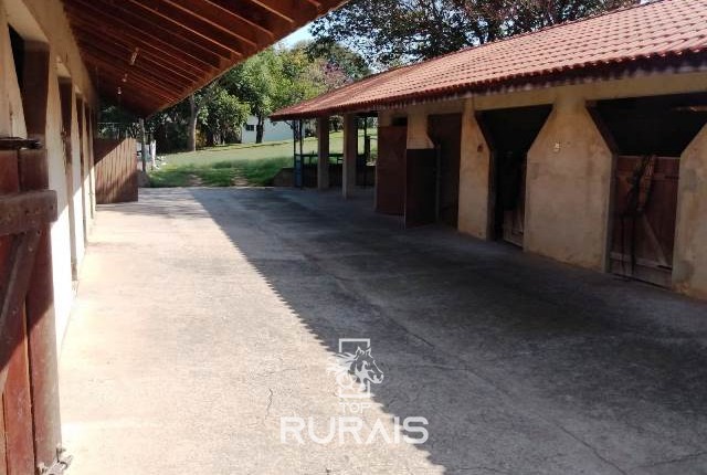 Haras formado à venda em Porto Feliz-SP.