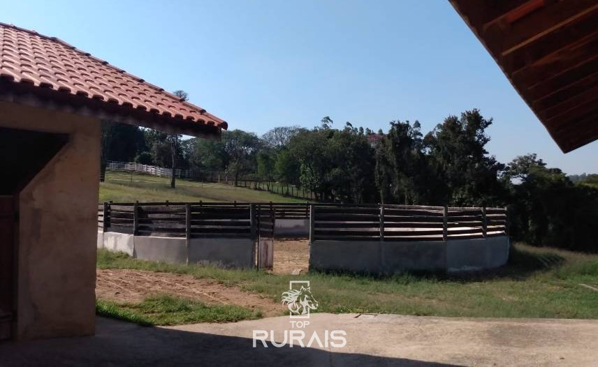 Haras formado à venda em Porto Feliz-SP.