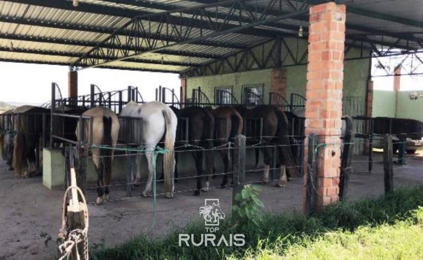 Haras formado à venda em Boituva-Sp. 8 alqueires.