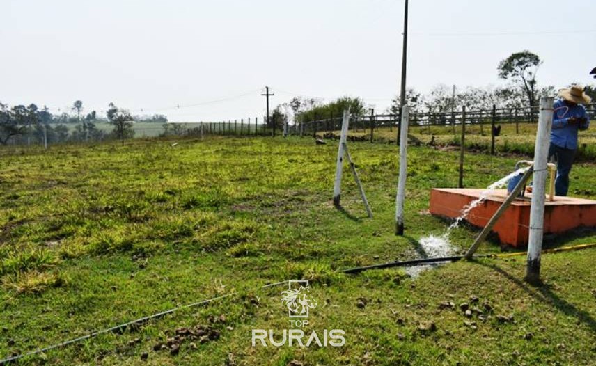 Haras/sítio à venda em Porto Feliz-SP.