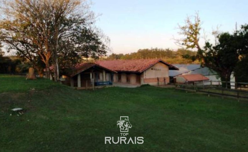 Haras formado à venda em Porto Feliz-SP.