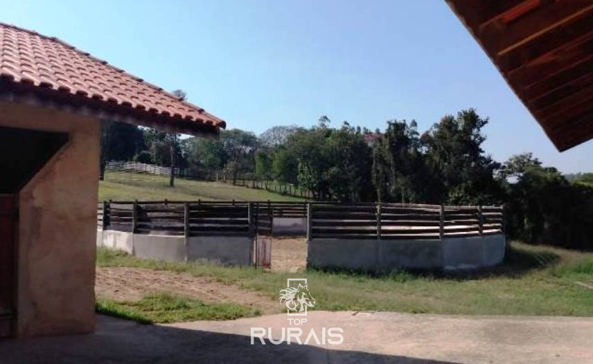 Haras formado à venda em Porto Feliz-SP.