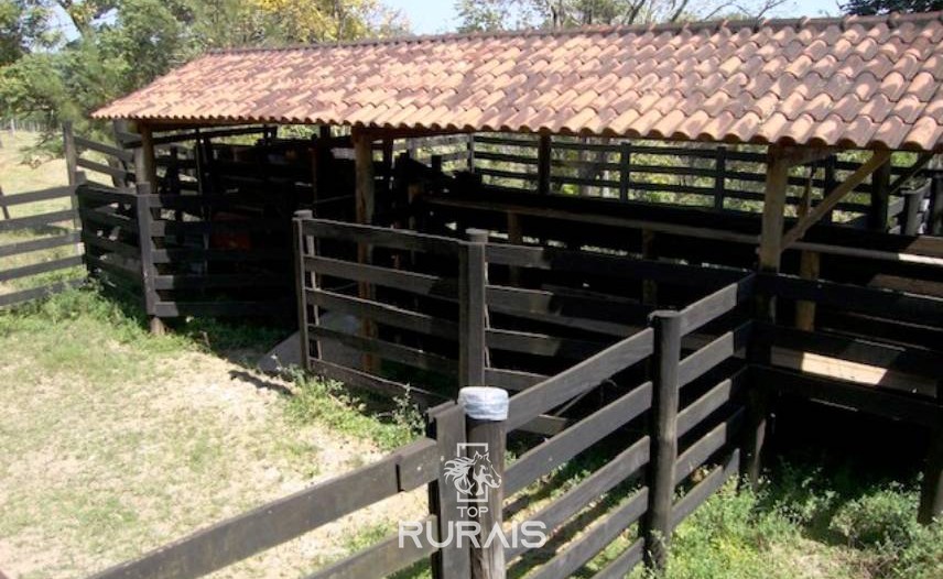 Sítio com 03 alqueires à venda em Itu -SP.