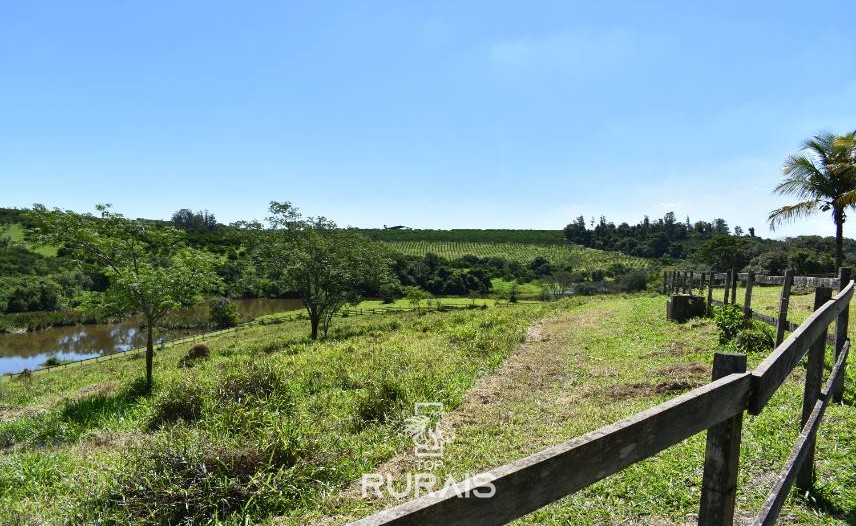 Lindo sítio à venda em Porto Feliz-SP.