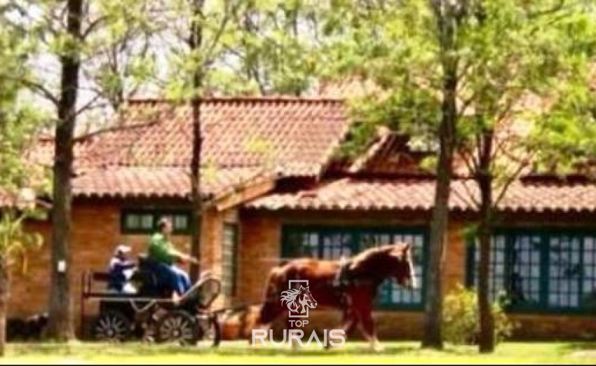 Haras formado à venda em Boituva-Sp. 8 alqueires.