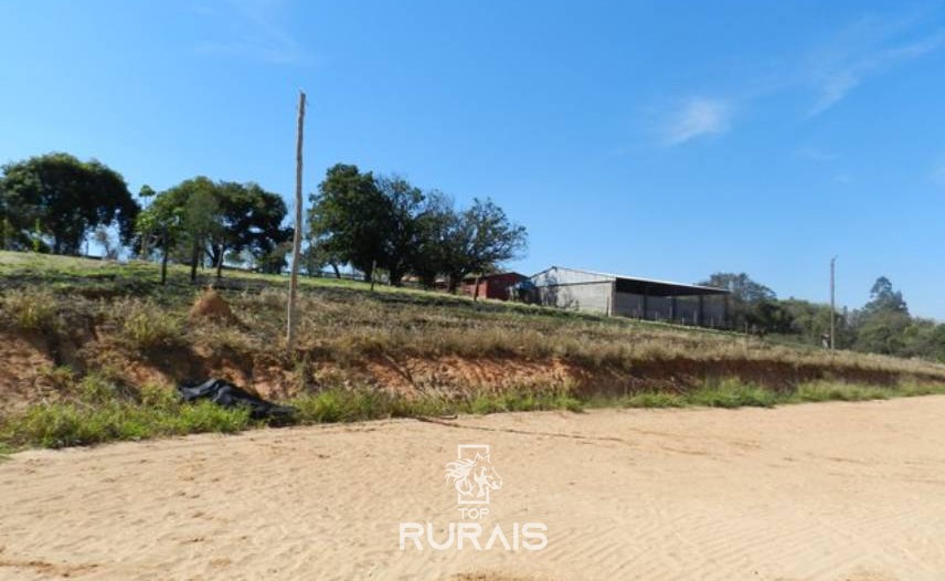 Haras formado à venda em Porto Feliz-SP.