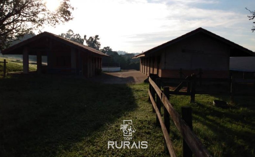 Haras formado à venda em Porto Feliz-SP.