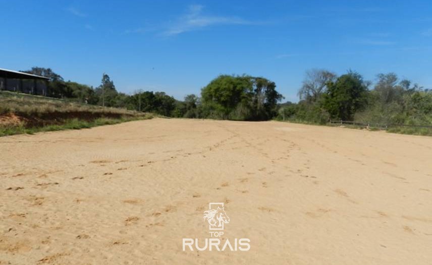 Haras formado à venda em Porto Feliz-SP.