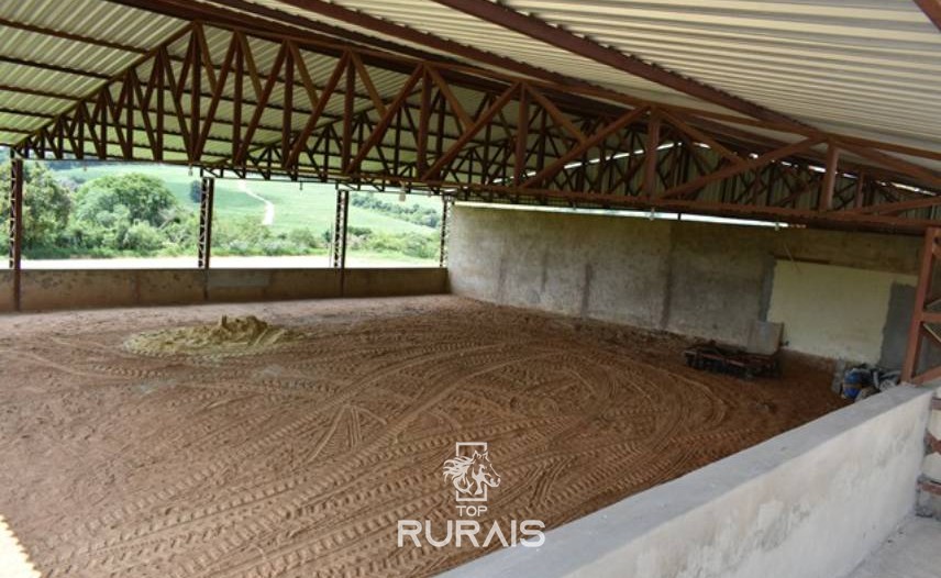 Haras formado à venda em Porto Feliz-SP.