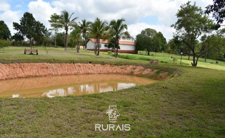 Haras formado à venda em Porto Feliz-SP.