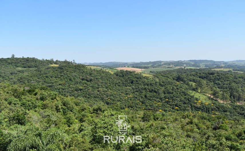 Sitio á venda em Piedade-SP.
