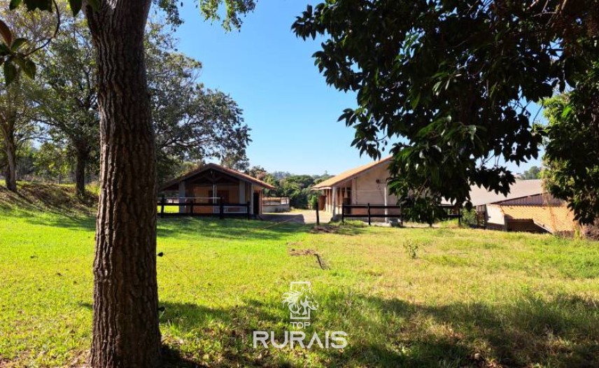 Haras formado à venda em Porto Feliz-SP.