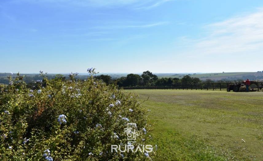 Sitio/haras á venda em Porto Feliz-SP.
