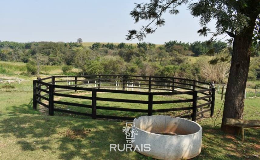 Haras/sítio à venda em Porto Feliz-SP.