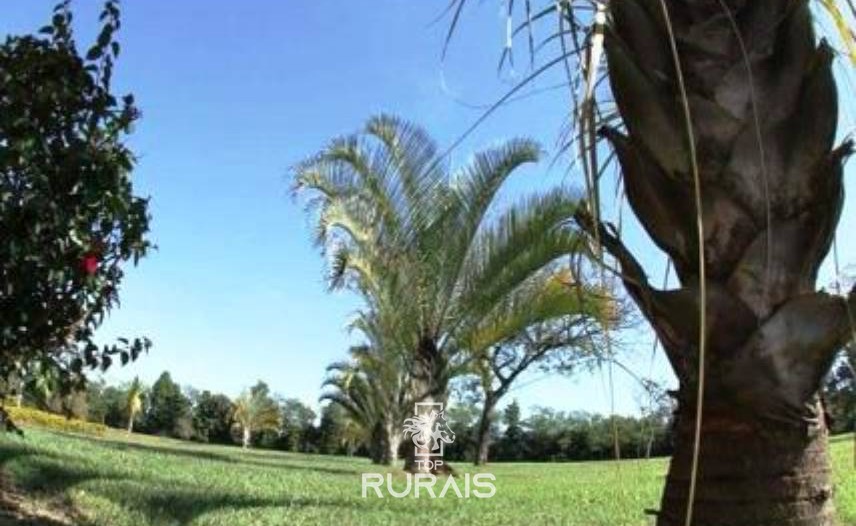 Haras formado à venda em Boituva-Sp. 8 alqueires.