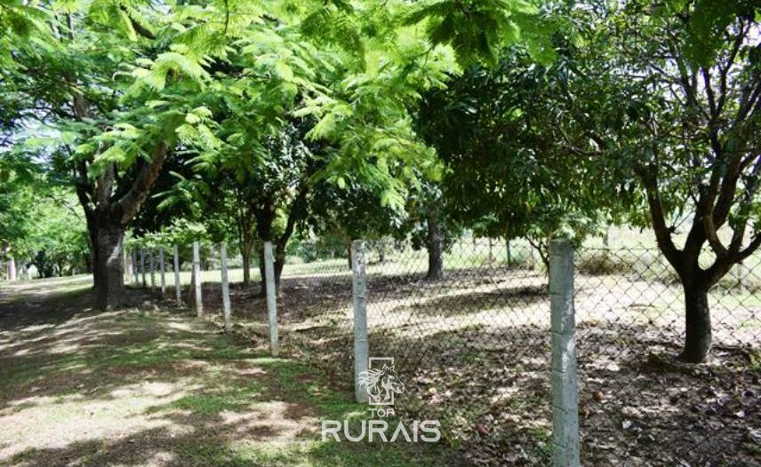 Sítio à venda em Boituva-SP, com 4,5 alqueires paulista.