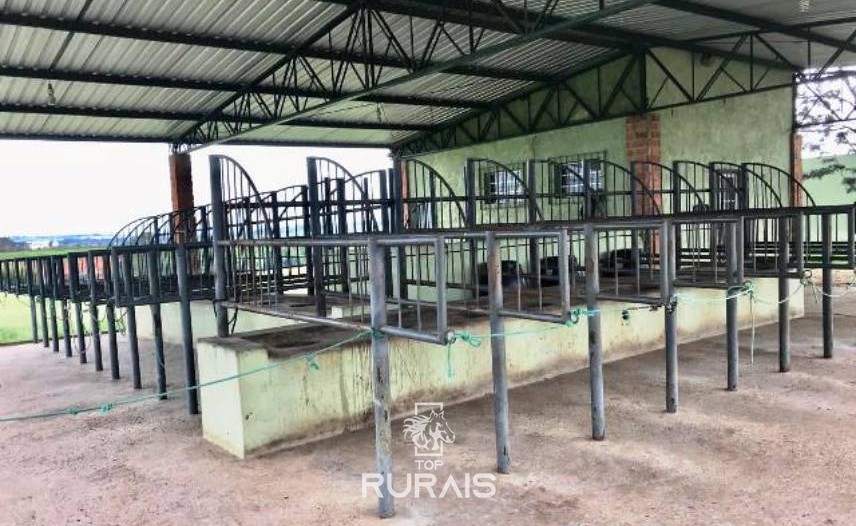 Haras formado à venda em Boituva-Sp. 8 alqueires.