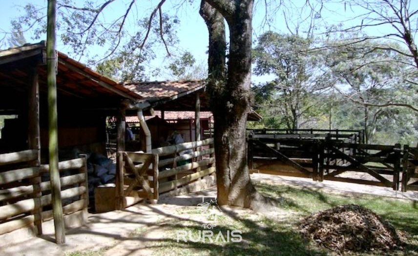 Sítio com 03 alqueires à venda em Itu -SP.