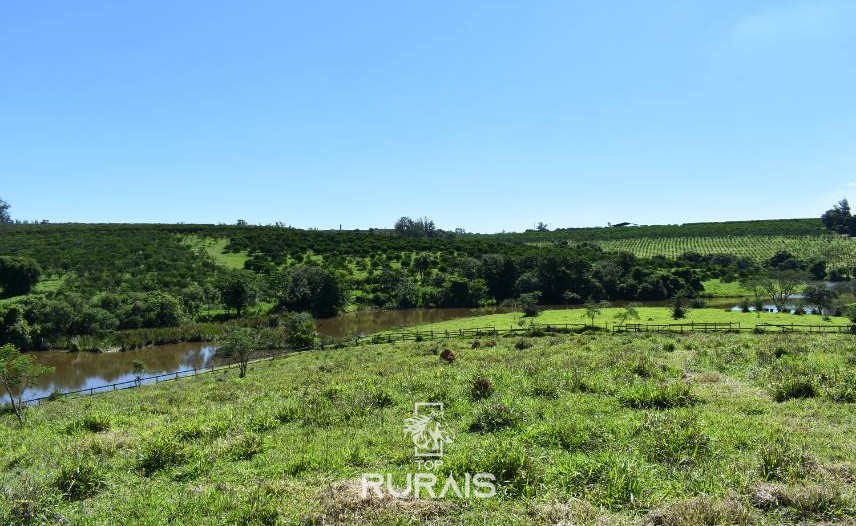 Lindo sítio à venda em Porto Feliz-SP.