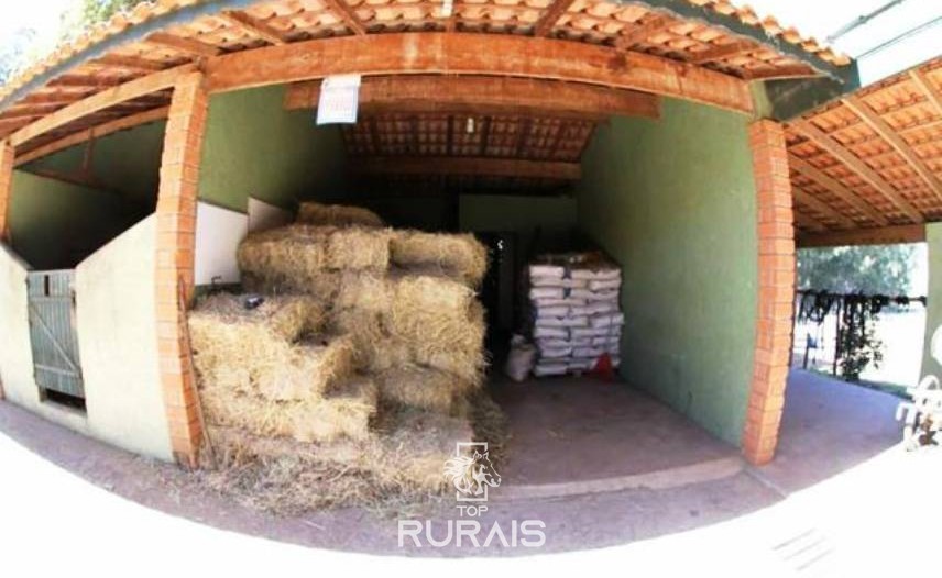 Haras formado à venda em Boituva-Sp. 8 alqueires.