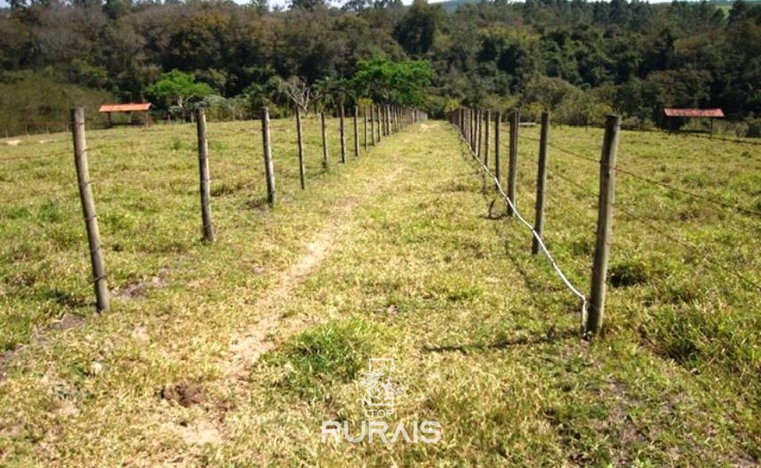 Sítio com 03 alqueires à venda em Itu -SP.