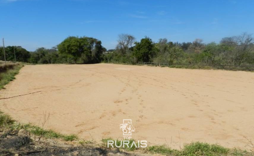 Haras formado à venda em Porto Feliz-SP.