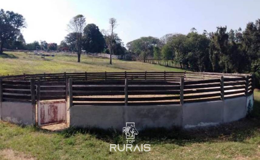 Haras formado à venda em Porto Feliz-SP.