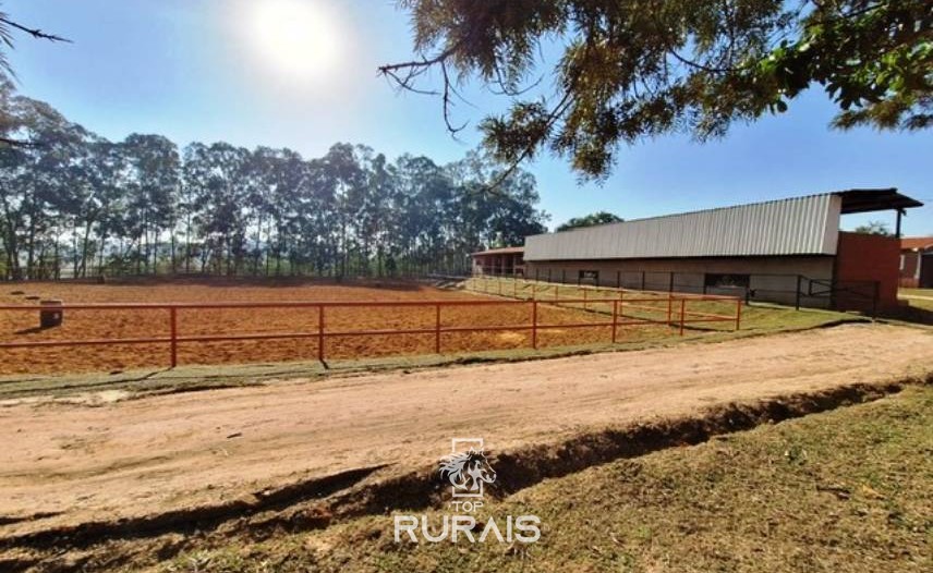 Haras à venda em Porto Feliz-Pista para 3 tambores. .