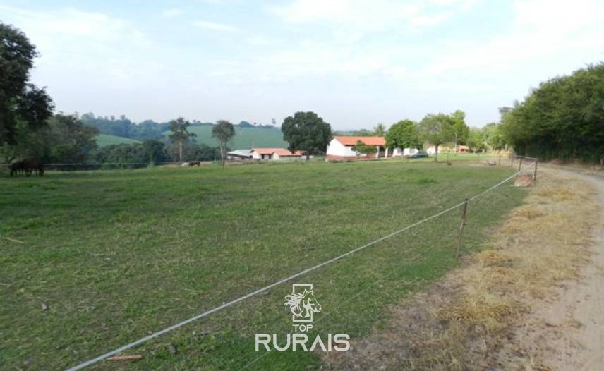 Haras formado à venda em Porto Feliz-SP.