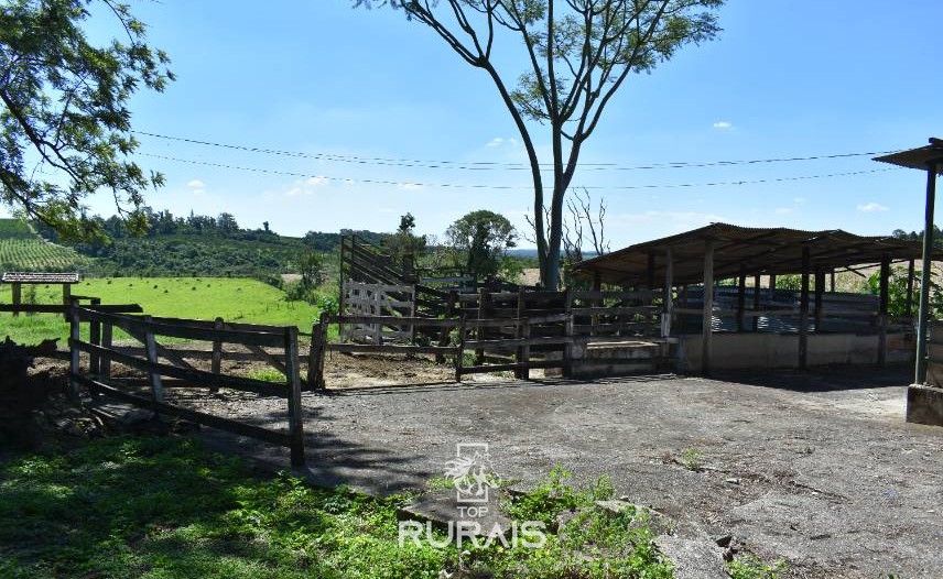 Lindo sítio à venda em Porto Feliz-SP.