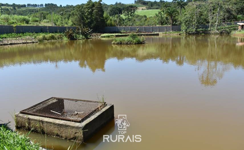 Sitio á venda em Piedade-SP.