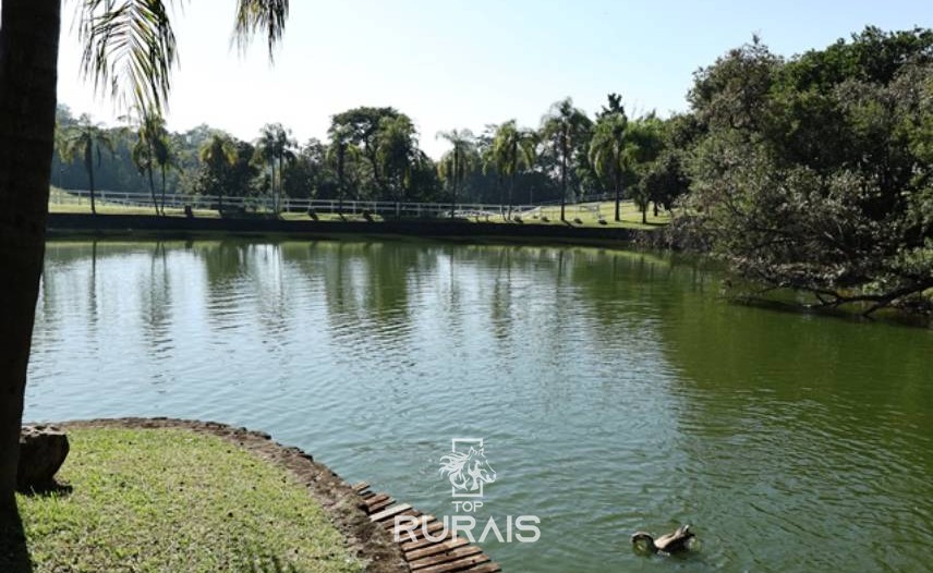 Sitio a venda . Rico em agua. Porto Feliz-SP.