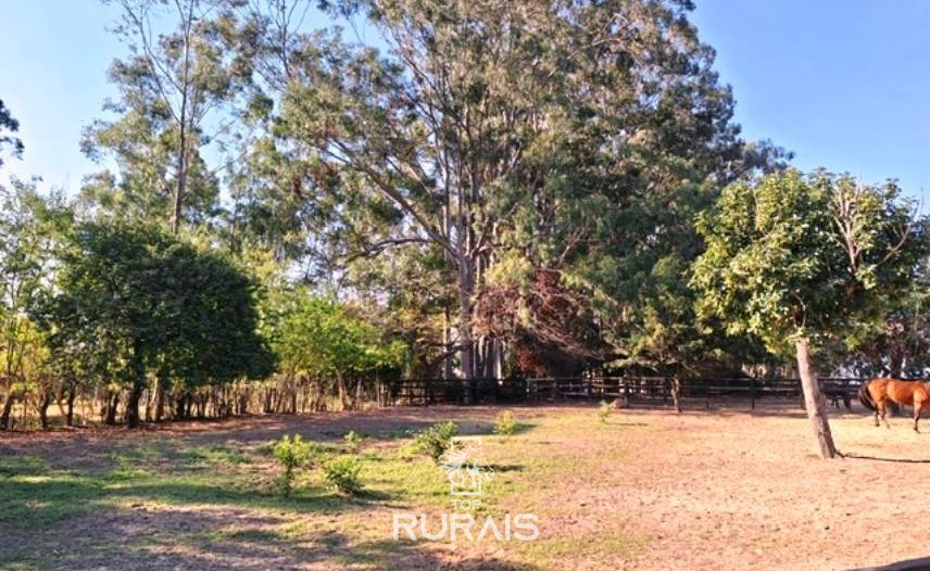 Haras à venda em Porto Feliz-Pista para 3 tambores. .