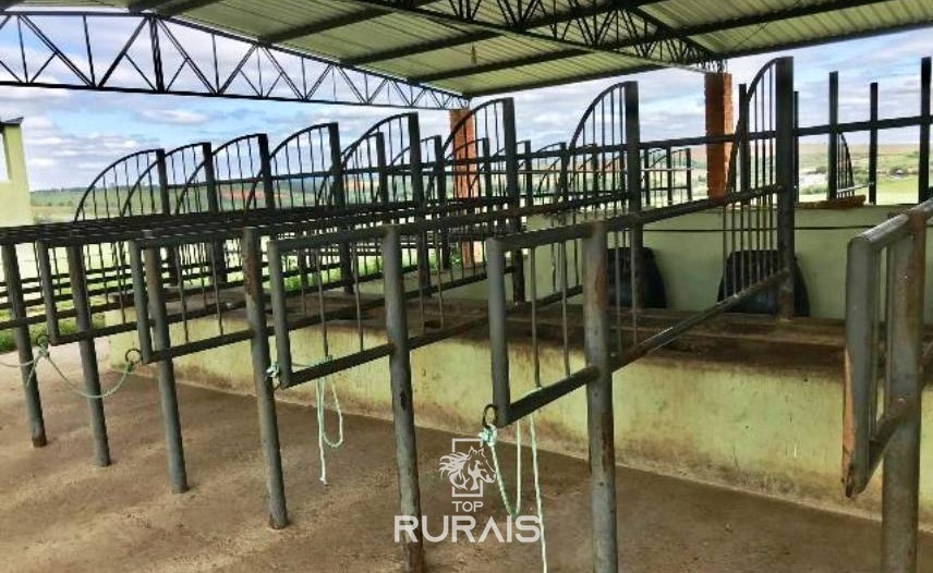 Haras formado à venda em Boituva-Sp. 8 alqueires.