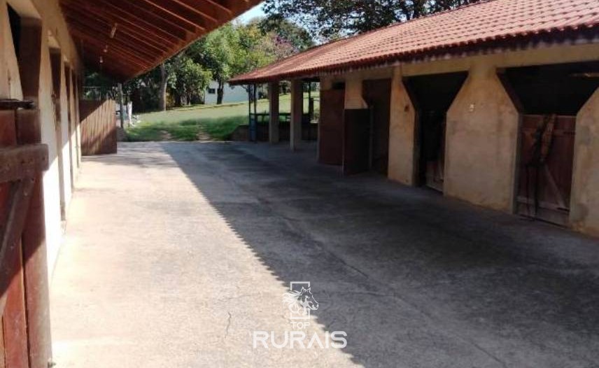 Haras formado à venda em Porto Feliz-SP.