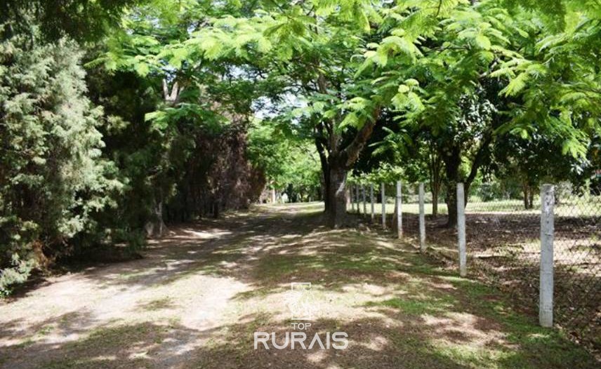 Sítio à venda em Boituva-SP, com 4,5 alqueires paulista.