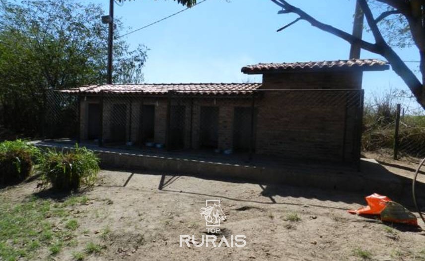 Haras formado à venda em Porto Feliz-SP.