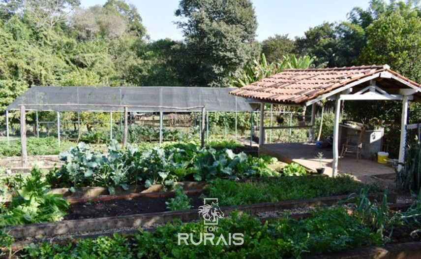 Ótimo sitio a venda em ITU-SP.  Colonial