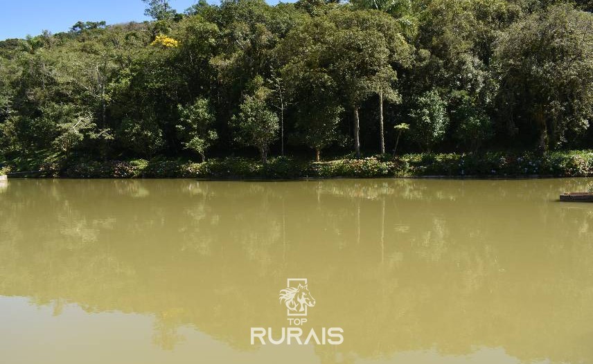 Sitio á venda em Piedade-SP.