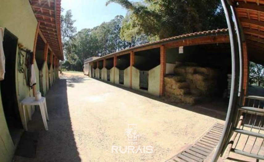 Haras formado à venda em Boituva-Sp. 8 alqueires.