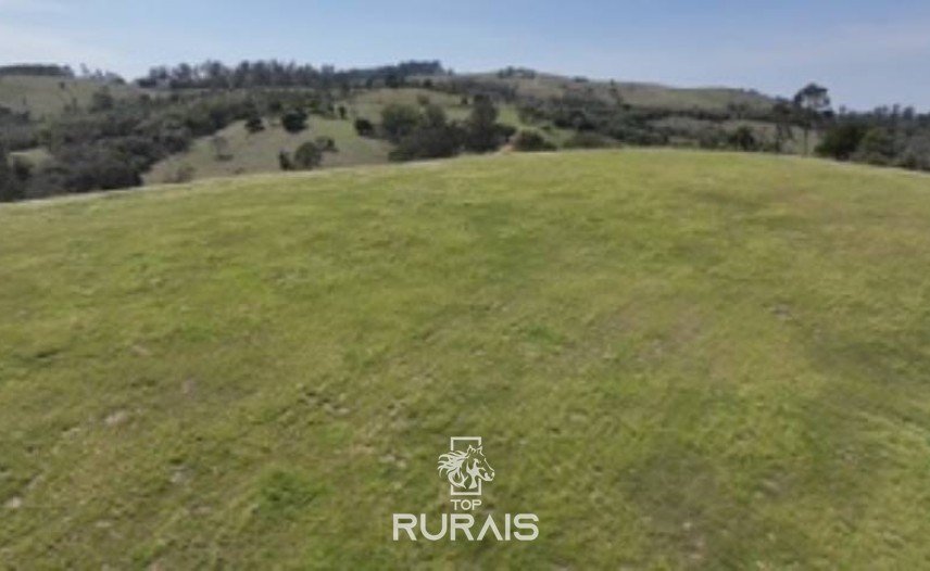 Haras pronto em Itatiba -SP, com 8,2 alqueires.