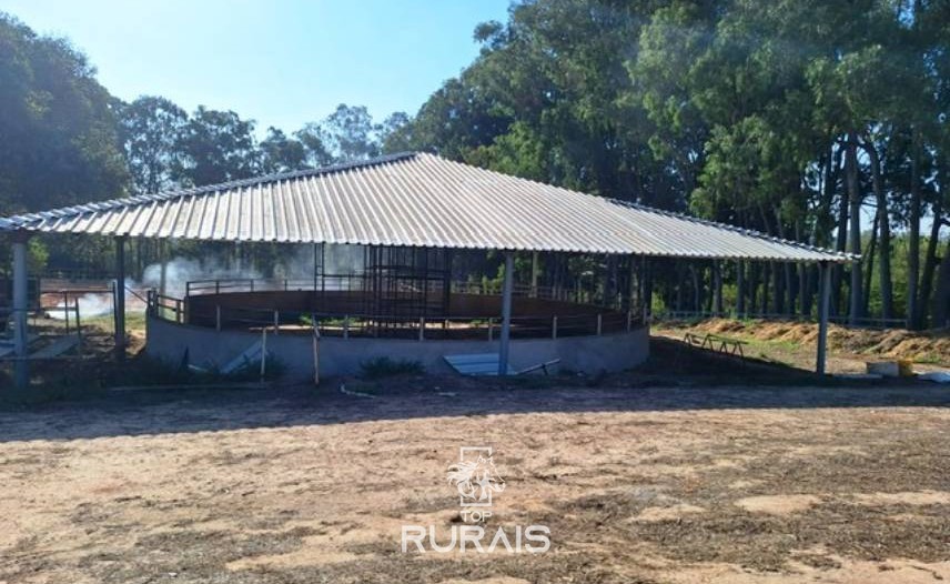 Haras à venda em Porto Feliz-Pista para 3 tambores. .