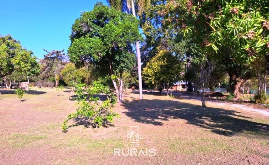 Haras à venda em Porto Feliz-Pista para 3 tambores. .