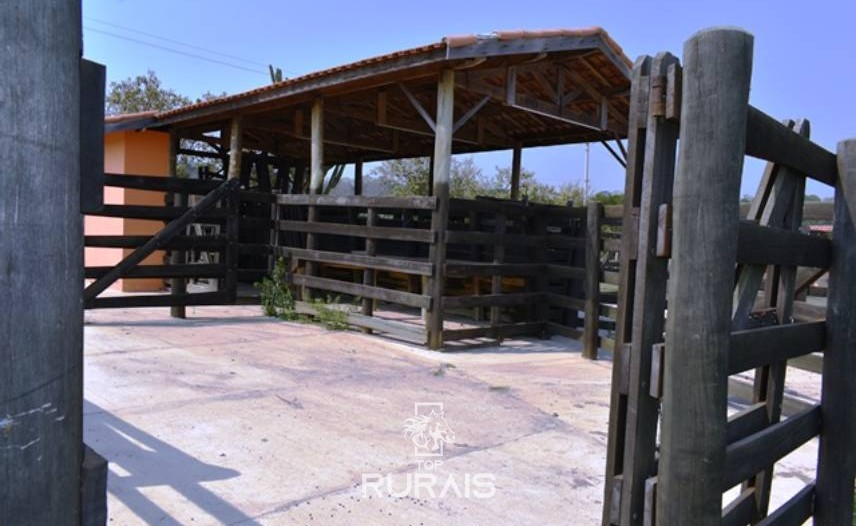 Haras/sítio à venda em Porto Feliz-SP.