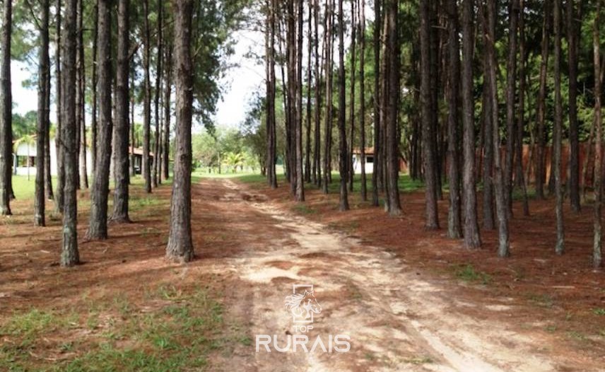 Sitio à venda em Itu-SP.