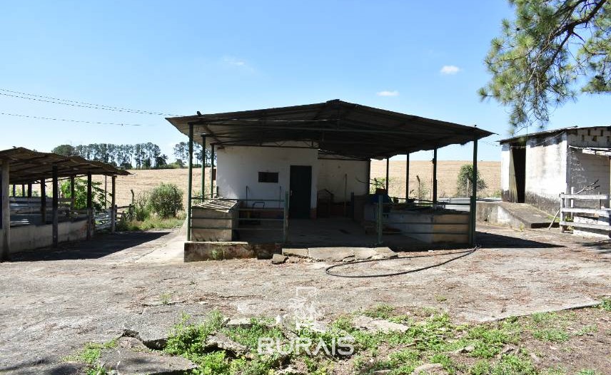 Lindo sítio à venda em Porto Feliz-SP.