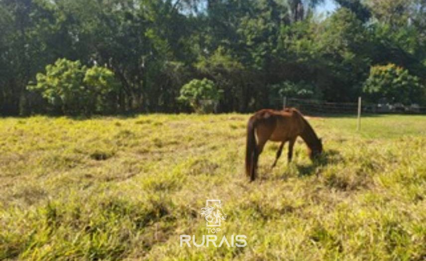 Haras à venda em Porto Feliz-SP com 2,6 alqueires.