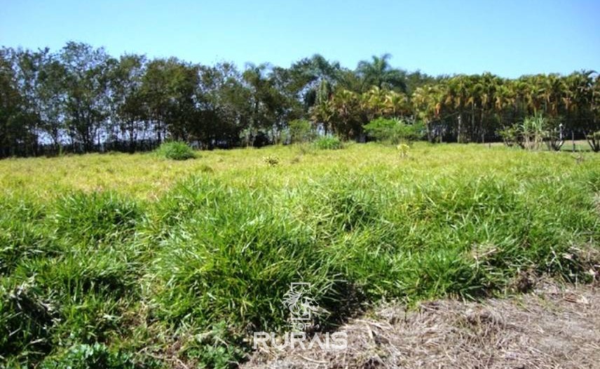 Sítio com 03 alqueires à venda em Itu -SP.