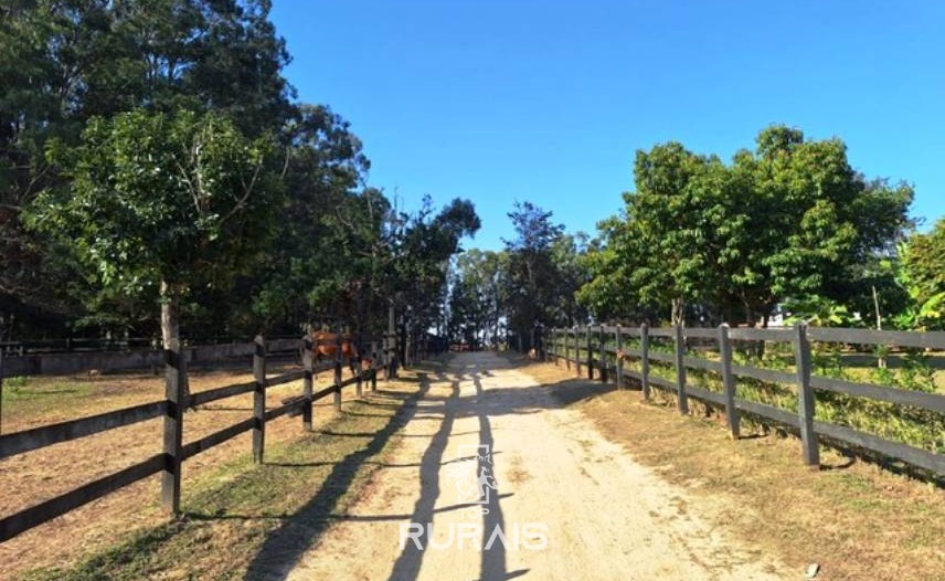 Haras à venda em Porto Feliz-Pista para 3 tambores. .